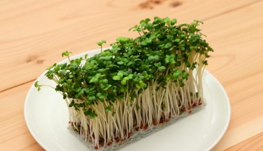 ブロッコリースプラウトに黒い斑点があるのはなぜ?食べられる?