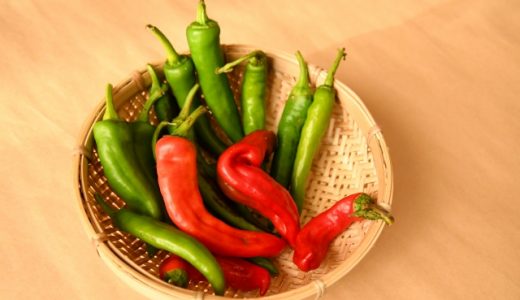 万願寺とうがらしの赤と緑の違いは？色が違う原因は？値段が高いのは？