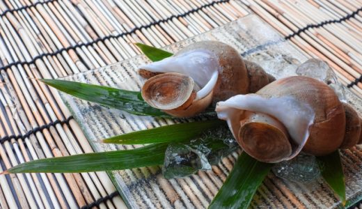 バイ貝の食べ過ぎは太る？体に悪い？栄養や味の口コミを紹介！