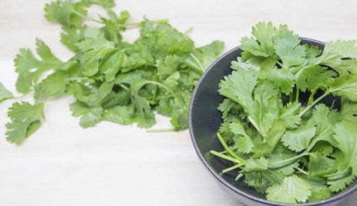 パクチーを大量保存したい！常温は大丈夫？冷凍・乾燥どっち？
