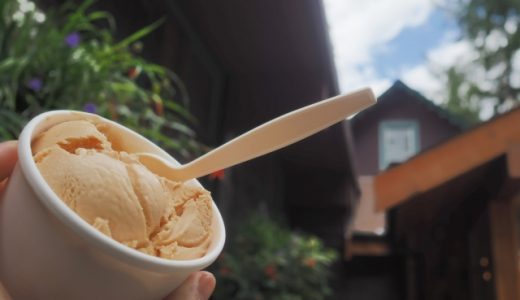 ハーゲンダッツの黒蜜きな粉味はまずい？うまい？口コミを紹介