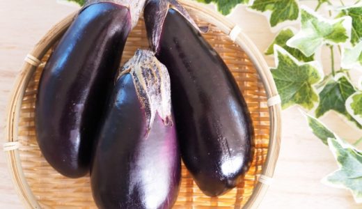 なすの日持ちはどれくらい？冷蔵庫や冷凍庫で保存する方法も！