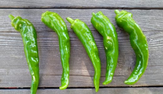 万願寺唐辛子が辛いかどうか見分ける方法はある？辛味を抜く方法も！