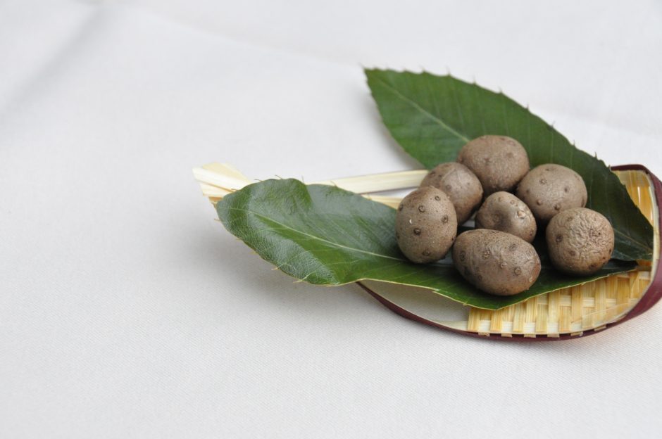 食べられないムカゴと食べられるムカゴの違いは?食べ方も解説! | | お役立ち!季節の耳より情報局