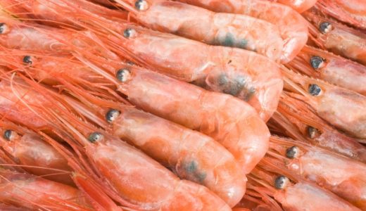 甘エビの卵は食中毒の原因？食べられる？調理方法や味の口コミも