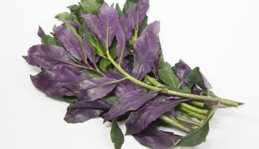 金時草の味は？栄養素は？食べ方や味の口コミ・購入場所を紹介！