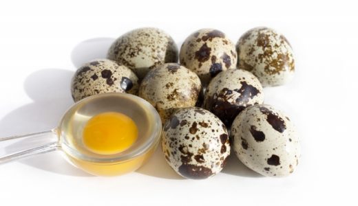 うずらの卵で食中毒になることはあるの?アレルギーは出にくいの?