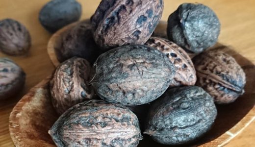 生くるみの保存方法は？冷凍できる？常温保存の場合の保存期間は？