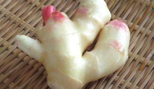 岩下の新生姜は体に良い？悪い？味の口コミや栄養素・成分も紹介！