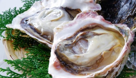 カキフライの栄養成分は?フライにするメリットがすごい!おすすめ野菜