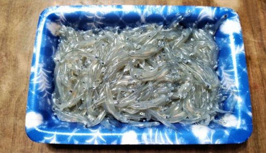 生しらすはあたる可能性がある？食中毒だった場合の潜伏期間は？