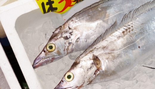 太刀魚の刺身｜日持ち期間は？漬けにすればOK?腐るとどうなる？