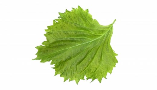 【青じその大量保存】冷凍保存できる？保存期限は？解凍方法は？