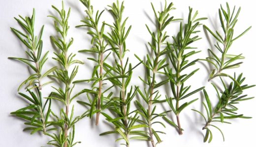 乾燥ローズマリーが固い原因や主な使い方を紹介！味の口コミも