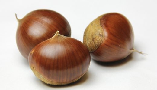 収穫した栗の保存方法は？冷凍はできる？これで虫が心配な方も安心！