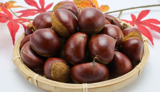 笠間の栗は何歳(いつ)から食べられる？アレルギーは？口コミも
