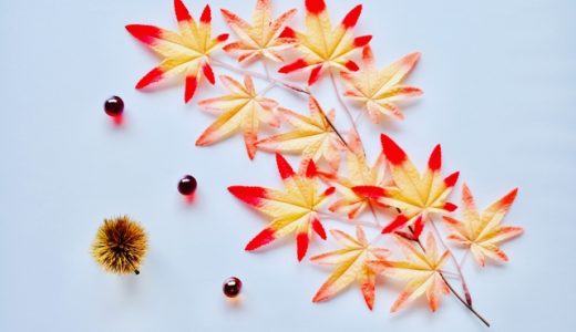 栗の賞味期限は常温でどのくらい？他の保存方法の期限も紹介