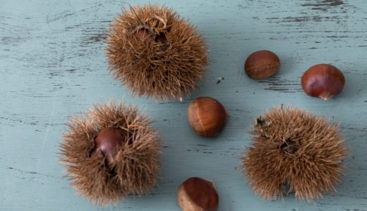 栗を渋皮のまま保存する方法を紹介！長持ちのコツや調理法も