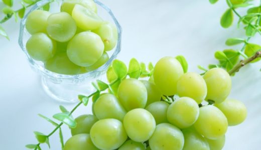 シャインマスカットの日持ちはどれくらい？腐るとどうなる？