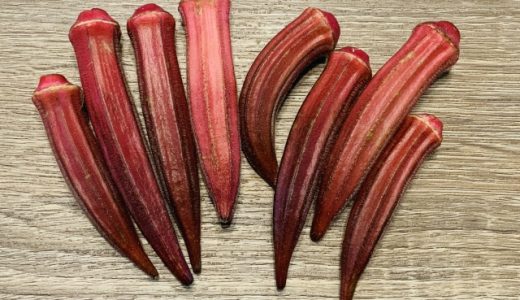 赤オクラは生で食べても大丈夫？茹でると緑色になるって本当？
