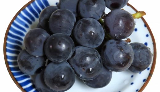 ピオーネの賞味期限はいつまで？日持ちする？味の口コミも