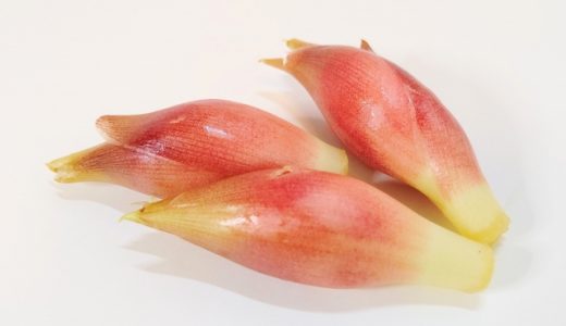 みょうがはどれくらい日持ちする？保存には醤油漬けがお勧め！