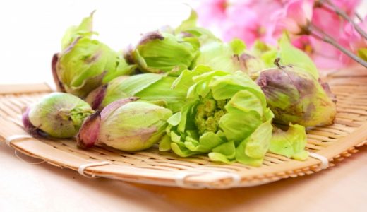 ふきのとうは体に悪いって本当？成分やカロリー・食べ方も紹介