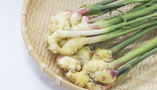 葉生姜の甘酢漬けは日持ちする？保存方法や効能や作り方！夏にぴったり