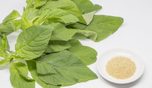 アマランサスの葉ってどんな味？栄養や効能は？毒性は大丈夫？