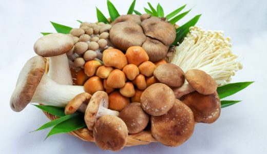 雪の下きのこの食べ方！エゾユキノシタ？特徴は？味噌汁・炊き込みご飯に？