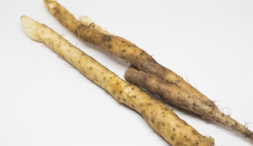 自然薯のつるの見分け方｜太さは?毒性は?オニドコロとヤマノイモの違いは