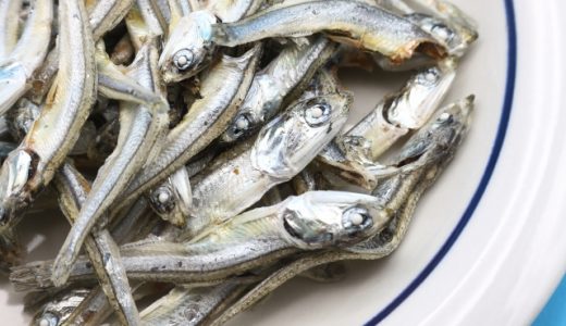 煮干しの食べ過ぎで気持ち悪い?ヒスタミン食中毒?治し方は?下痢に?食べる量は?