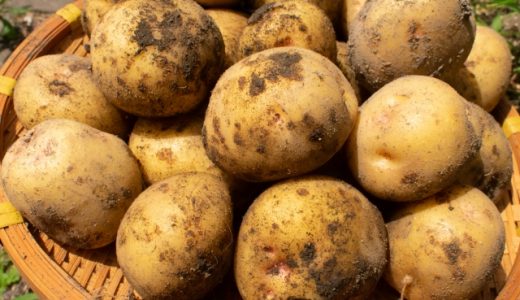 じゃがいもを冷凍するとふにゃふにゃでぶよぶよになってまずい？