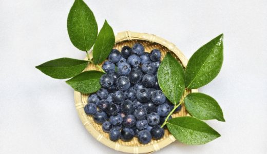 毎日ブルーベリーを食べると?1日の摂取量は?メリット・デメリットは?