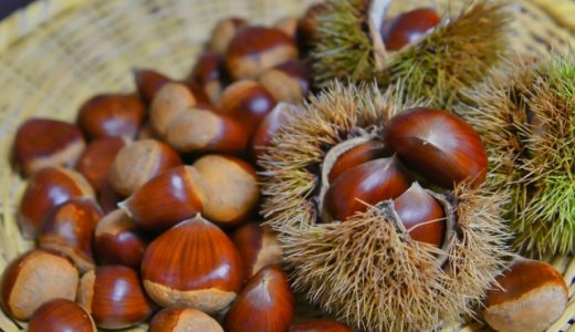 腐った栗は食中毒になる？ネバネバ？酸っぱい匂い？食べた時の症状・対策は？