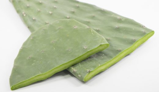 食べれるサボテン?ウチワサボテンとは?食用?通販?店?幻覚は?日本で?