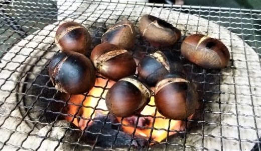 焼き栗の保存方法｜賞味期限は?冷蔵・冷凍は?カビは?温め方は?