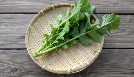 大根の間引き菜、保存方法は？漬物に？長期保存は？そのまま？冷凍？期間は