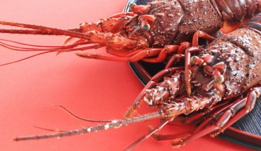 冷凍伊勢海老は自然解凍でOK？黒変に注意！流水がおすすめ！レシピも