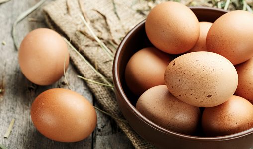 煮卵の食べ過ぎは太る？体に悪い？ゆで卵ダイエットに効果はある？