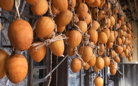 渋柿を干し柿にするときにカビが生えないようにするには？見分け方は？