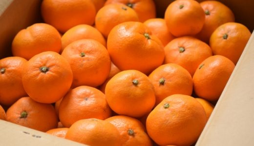 三ヶ日みかんは何歳(いつ)から食べられる？いつから旬？