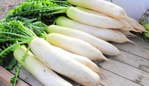 大根を常温で放置しても大丈夫？腐らない？日持ちの方法も紹介