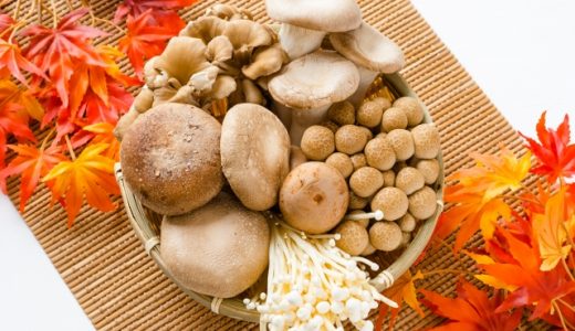 干し椎茸などの佃煮はどれくらい日持ちする？保存方法は？