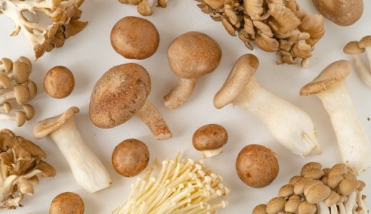 手作りの干し椎茸から匂いが！？その原因や正しい保存方法も！
