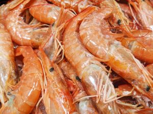 甲殻類アレルギーの人が食べてはいけないものは？治療法について！ | | お役立ち！季節の耳より情報局