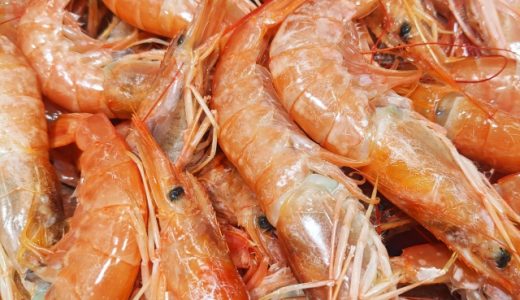 甲殻類アレルギーの人が食べてはいけないものは？治療法について！