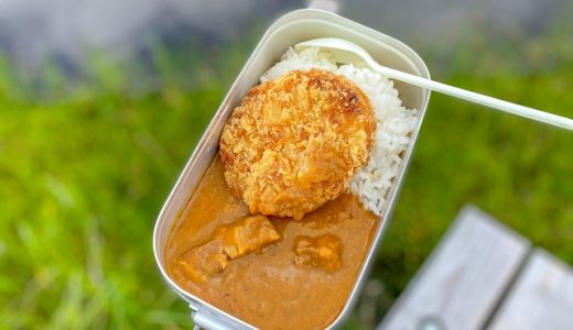 カレーメシは体に悪い？ダイエット中はＮＧ？添加物やカロリーは？