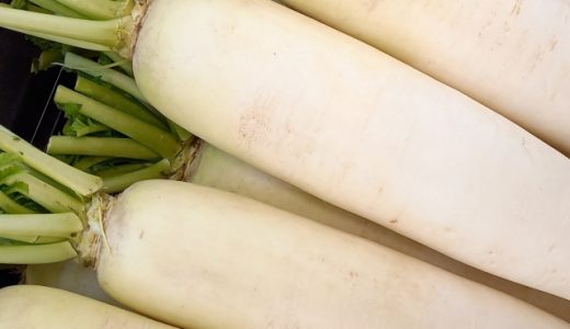腐った大根を食べた？食中毒は？腐るとどうなる？古い・柔らかい大根は？