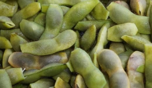 黒豆の枝豆は黒くない理由は？枝豆との違いは？味・栄養・旬は？特徴は？